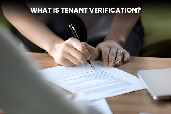 What is Tenant Verification_